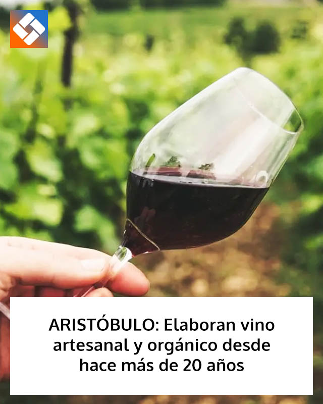 ARISTÓBULO: Elaboran vino artesanal y orgánico desde hace más de 20 años